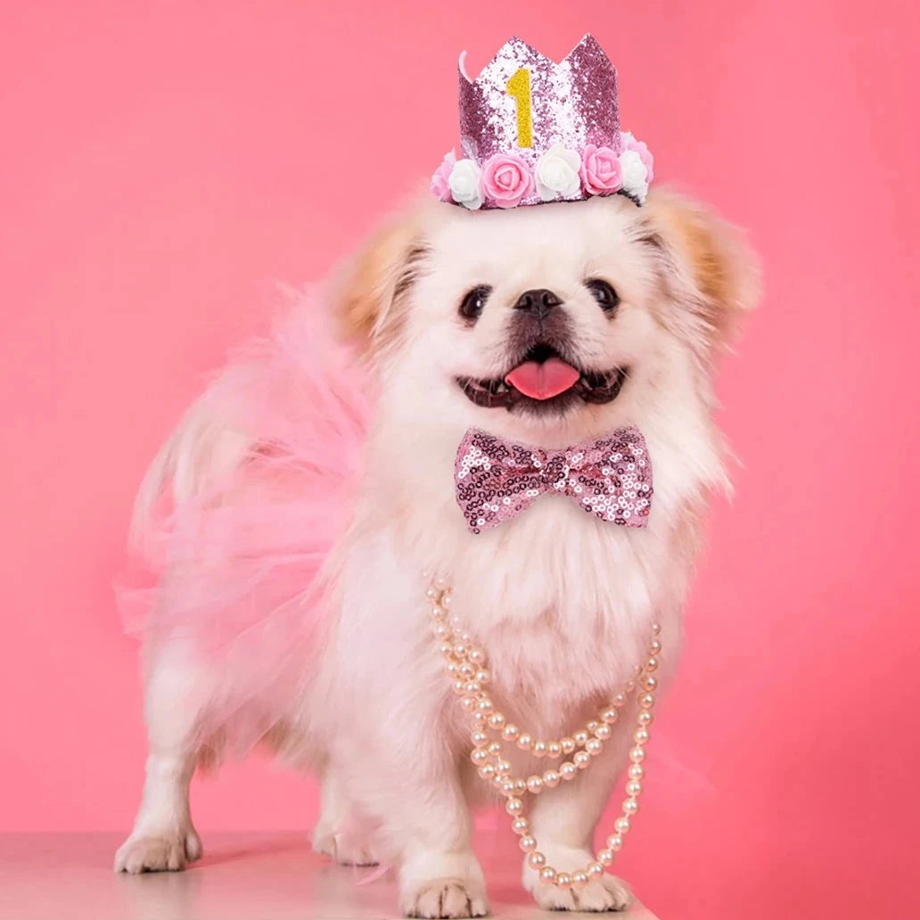 Birthday Crown & Bow Tie Set