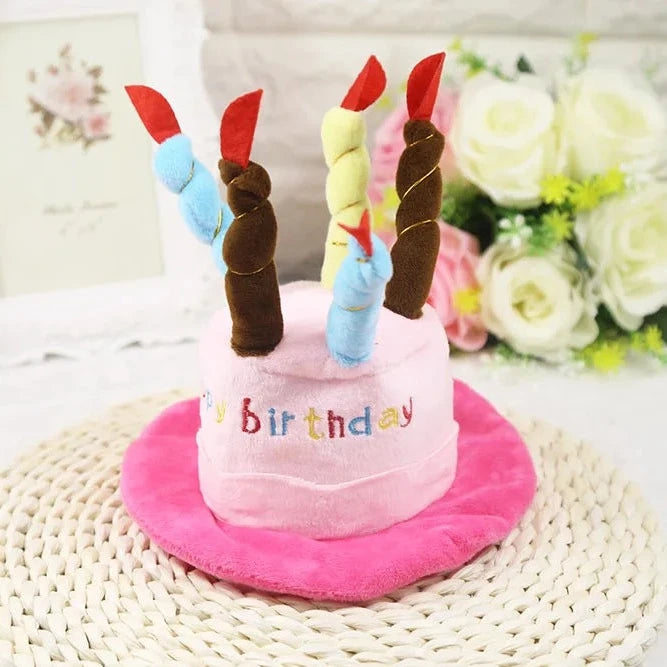 Birthday Cake with Candles Hat