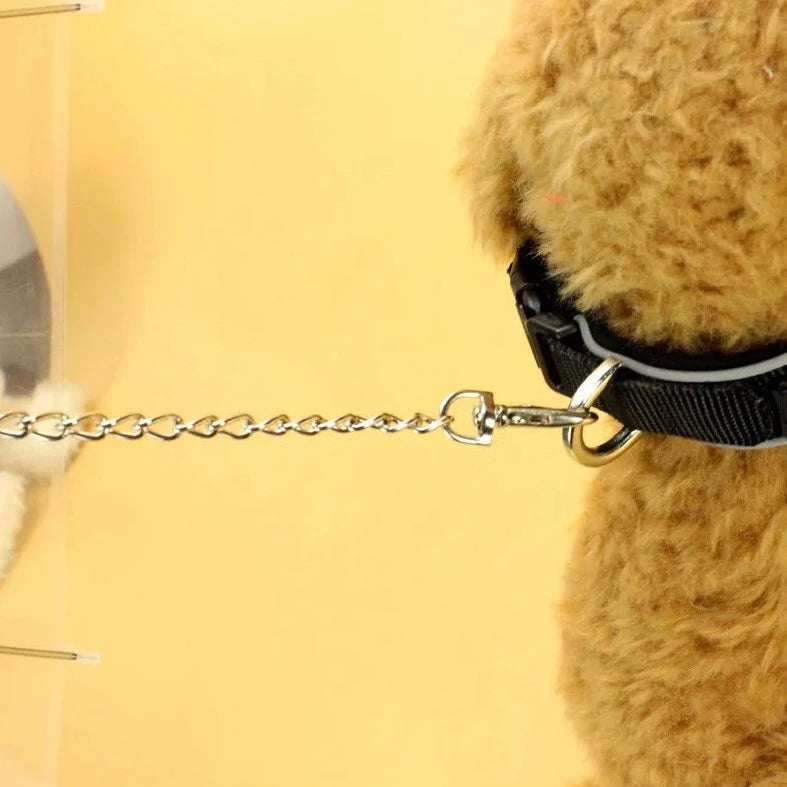 Dog Umbrella| Transparent Portable Umbrella with Built in Pet Leash| Claws N Paws