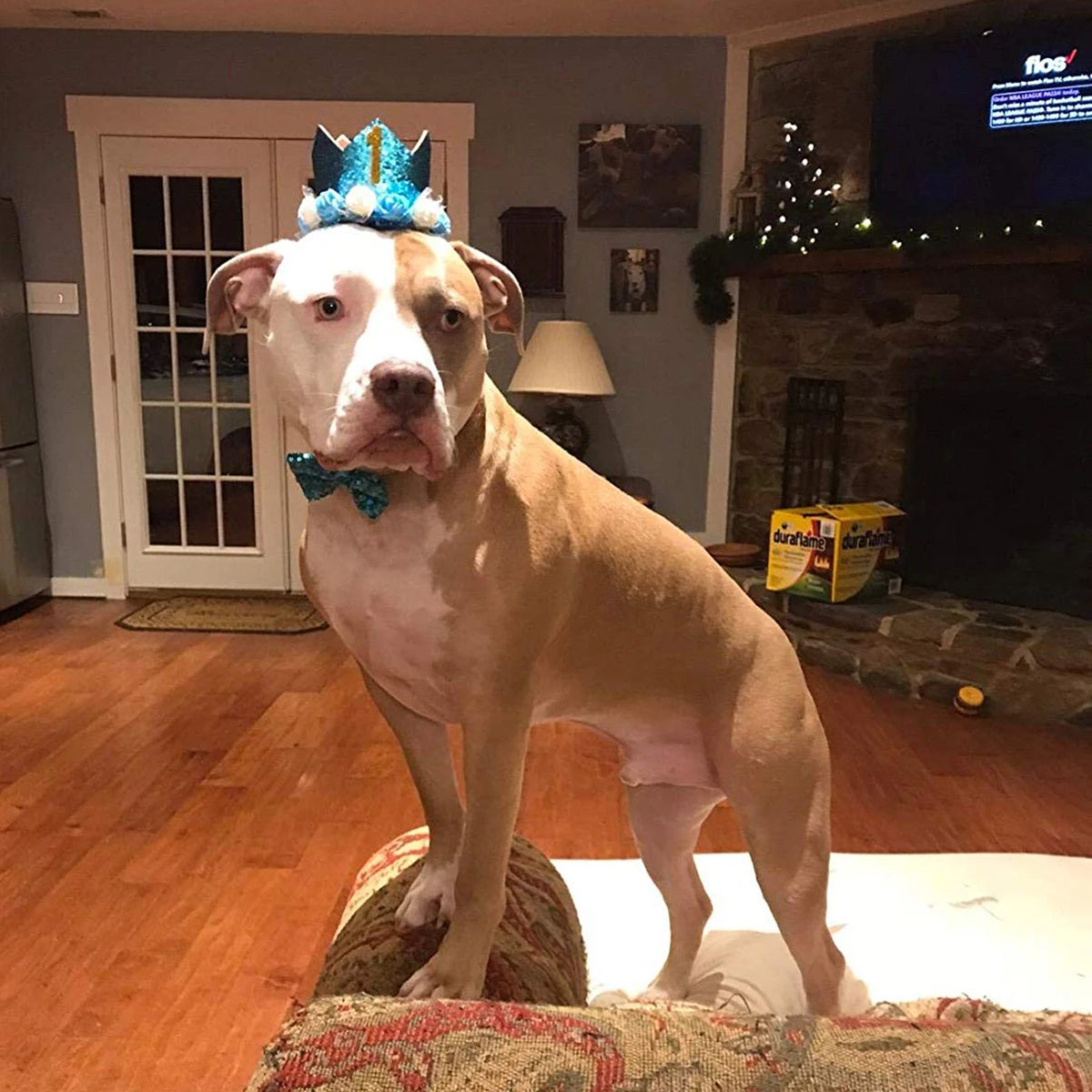 Birthday Crown & Bow Tie Set