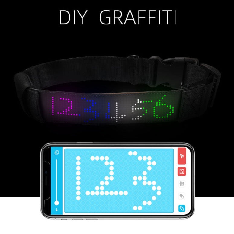 App-controlled DIY Message Pet Light Collar