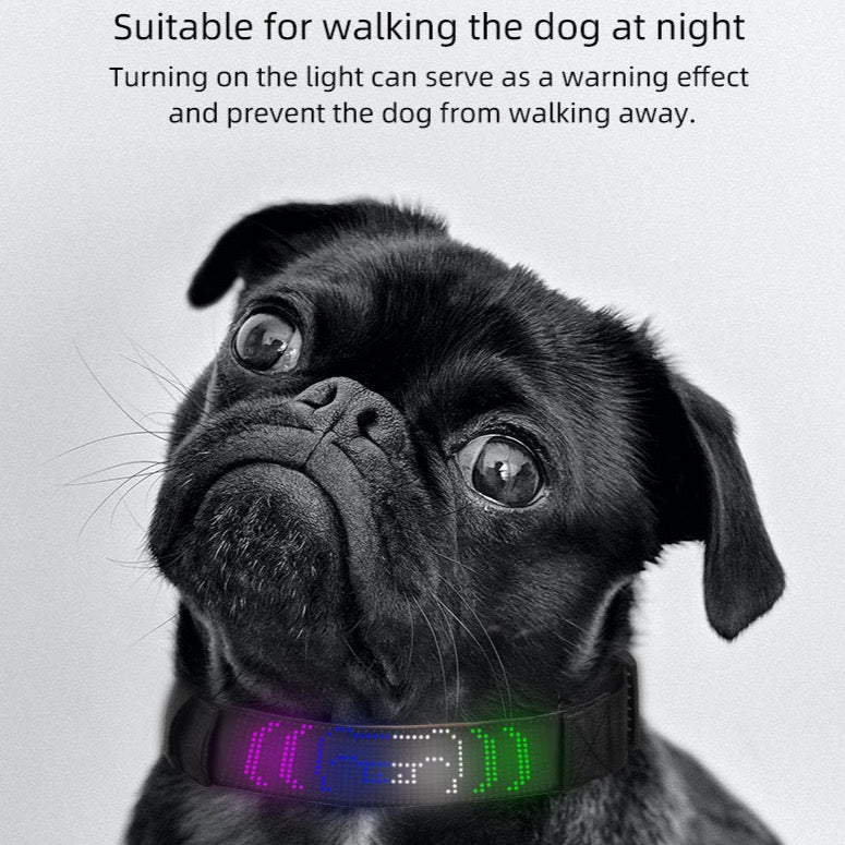 App-controlled DIY Message Pet Light Collar