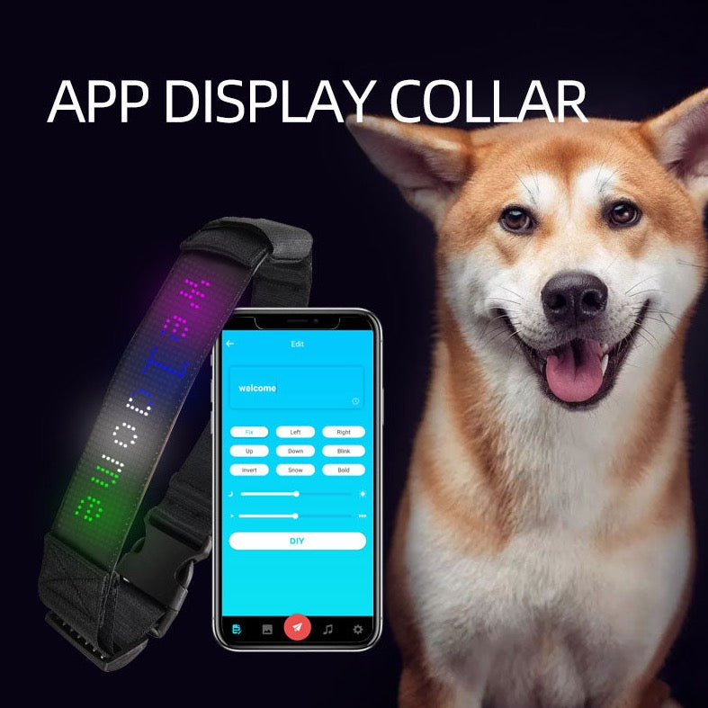 App-controlled DIY Message Pet Light Collar