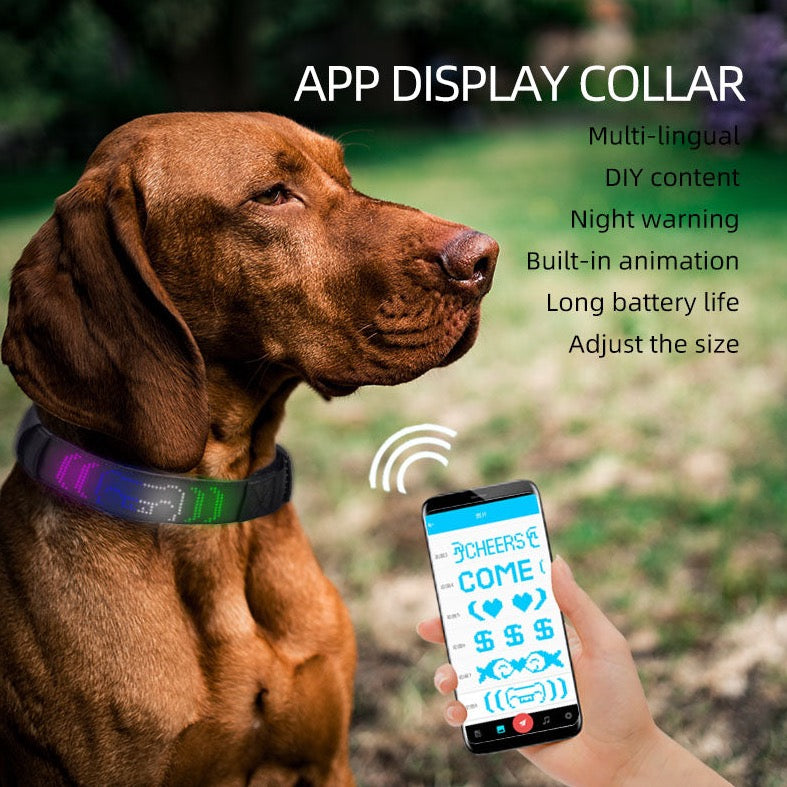 App-controlled DIY Message Pet Light Collar