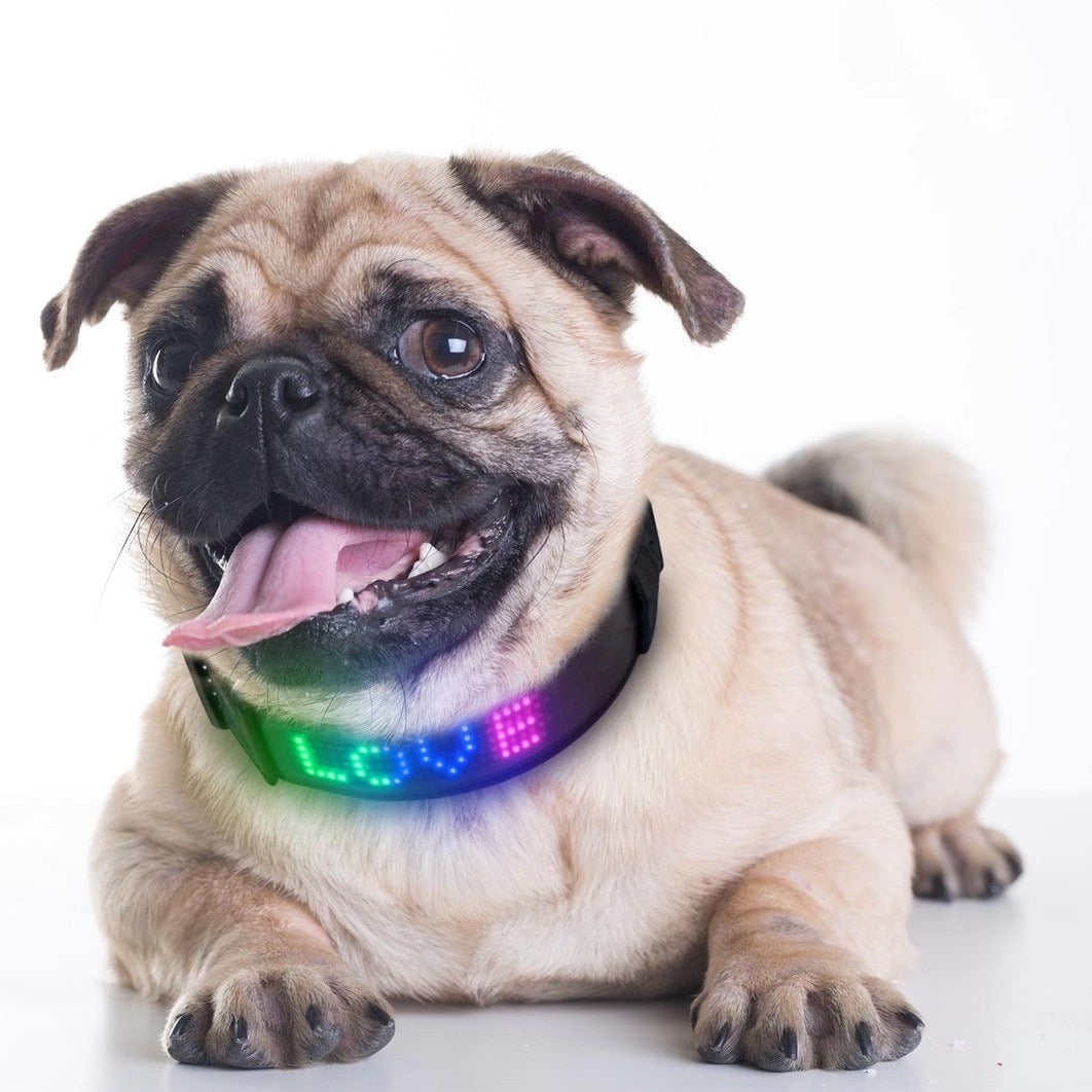 App-controlled DIY Message Pet Light Collar