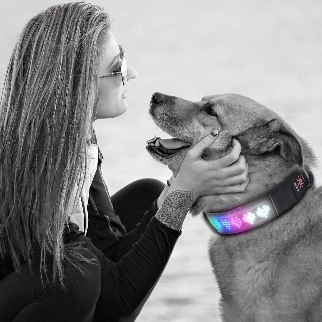 App-controlled DIY Message Pet Light Collar