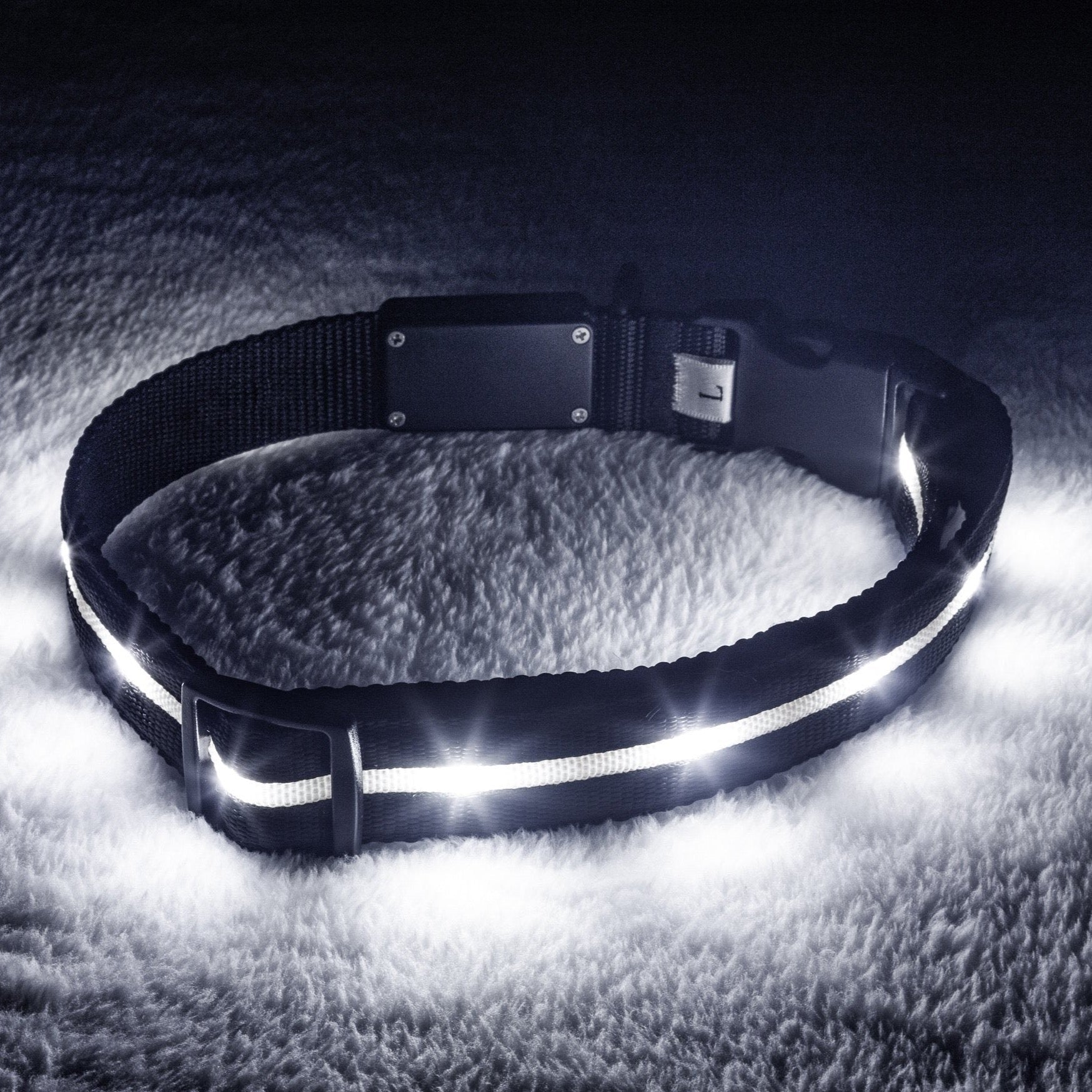 Nylon LED Safety Dog Collar