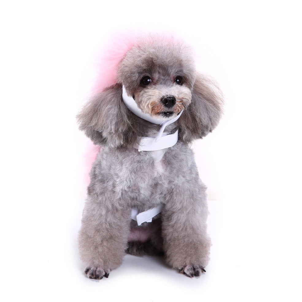 Pink Gingham Flower Dress – Cute & Stylish Pet Clothes for Dogs | Claws N Paws