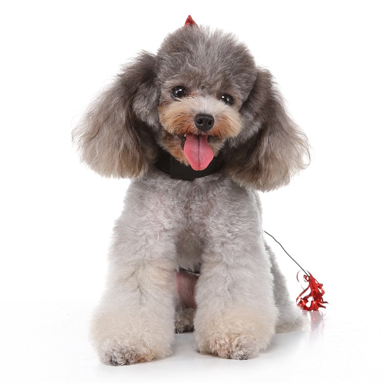 Dog Clothes| Pet Rocket Costume | Sizes and Colours Available| Claws N Paws