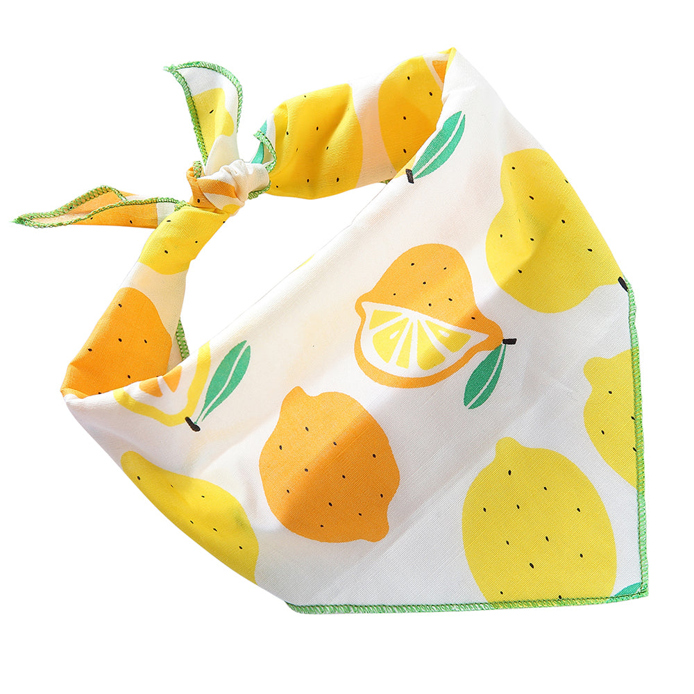 Summer Fruits Pet Bandana