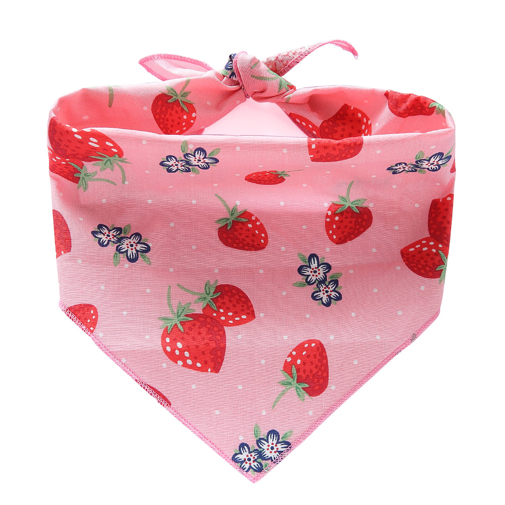 Summer Fruits Pet Bandana