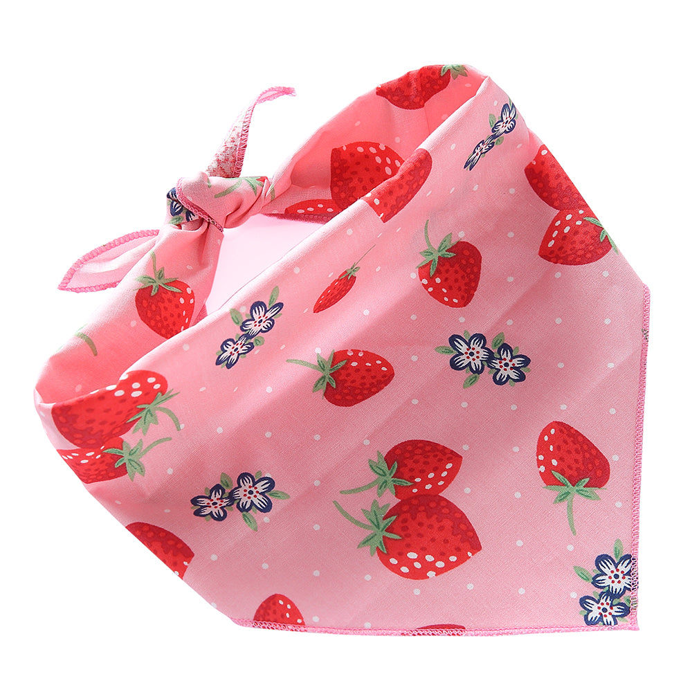 Summer Fruits Pet Bandana