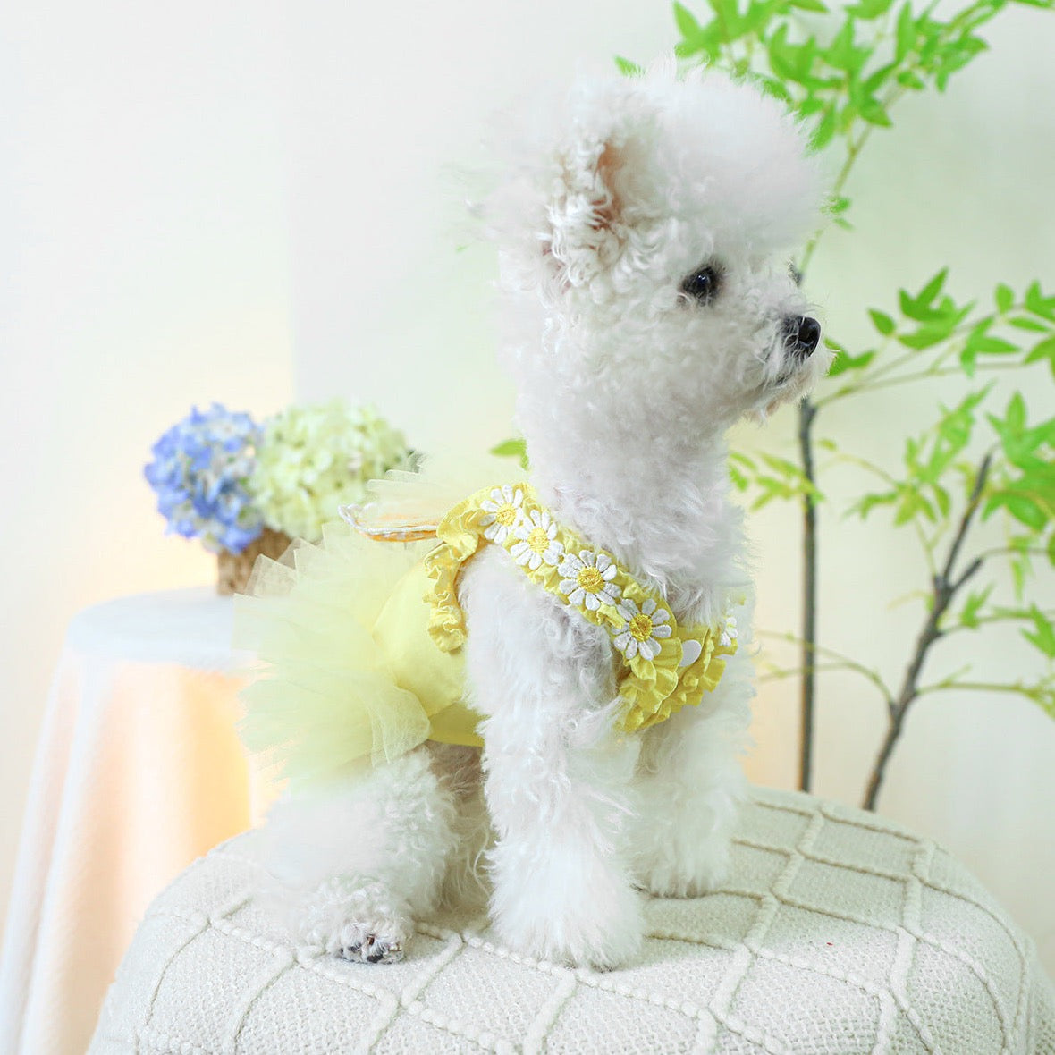 Bunny Ears Sleeveless Summer Dress – Adorable & Lightweight Pet Outfit