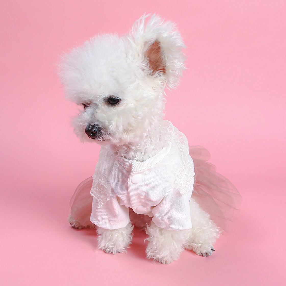 Ribbed Rose Pink Tutu Dress – Elegant & Comfortable Dog Clothes | Claws N Paws
