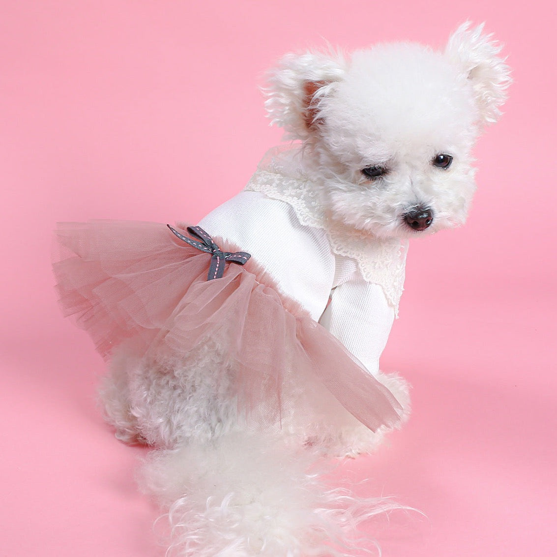 Ribbed Rose Pink Tutu Dress – Elegant & Comfortable Dog Clothes | Claws N Paws