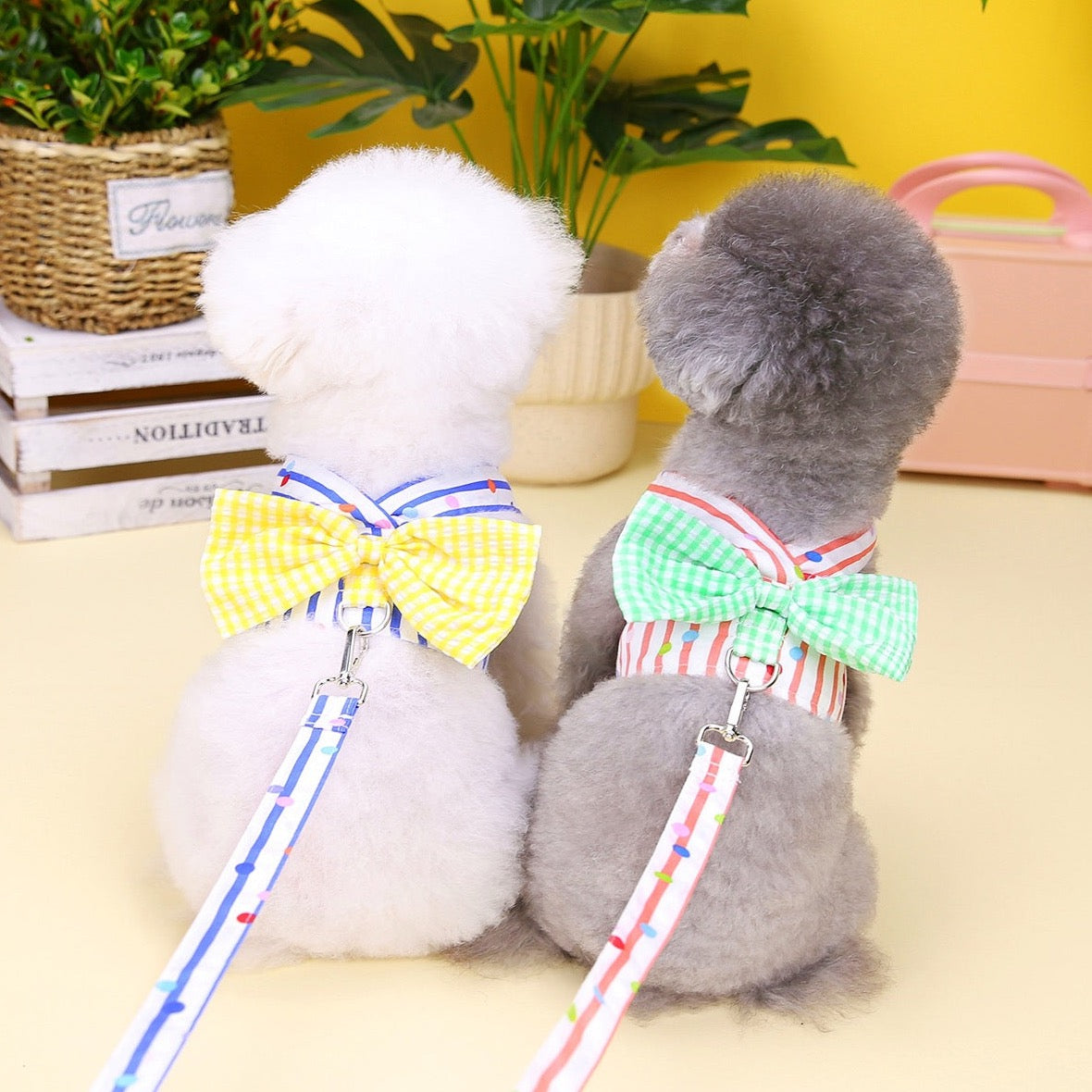 Dog Stripes Bow Harness