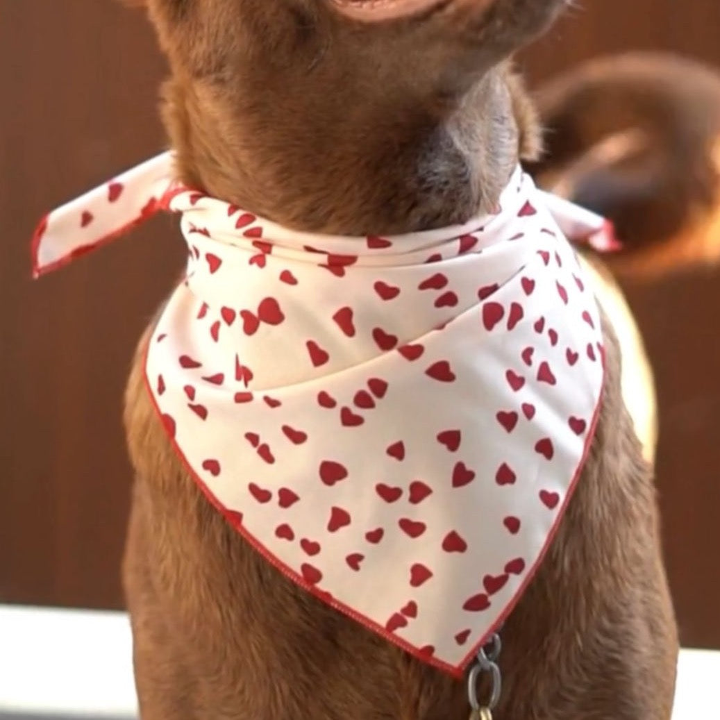 Little Red Hearts Bandana