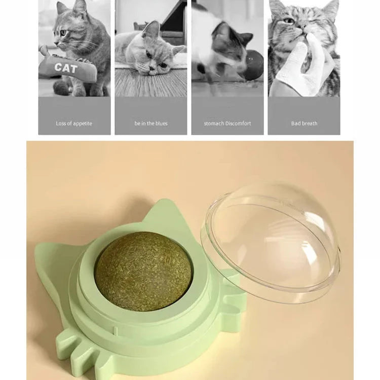 Catnip Lickable Ball – Engaging Fun for Your Cat