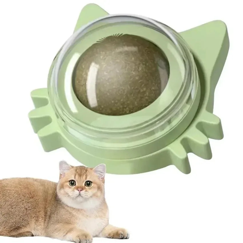 Catnip Lickable Ball – Engaging Fun for Your Cat