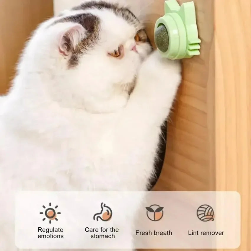 Catnip Lickable Ball – Engaging Fun for Your Cat