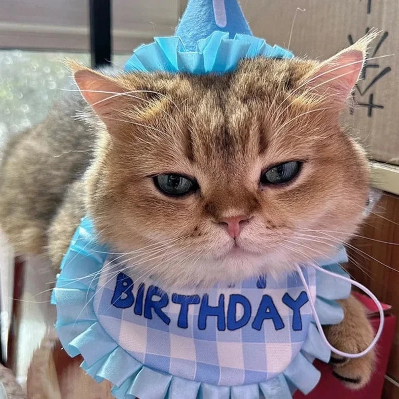 Frill Pet Birthday Set
