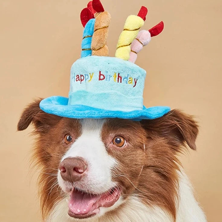 Birthday Cake with Candles Hat