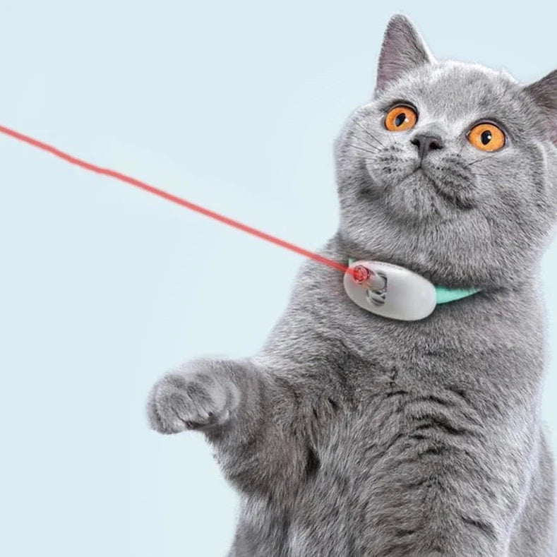 Smart Cat Laser Collar – Interactive Play for Your Cat
