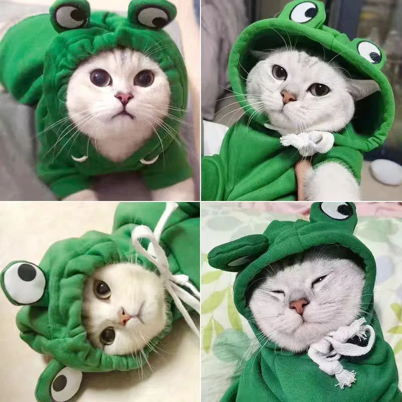 Green Frog Hoodie