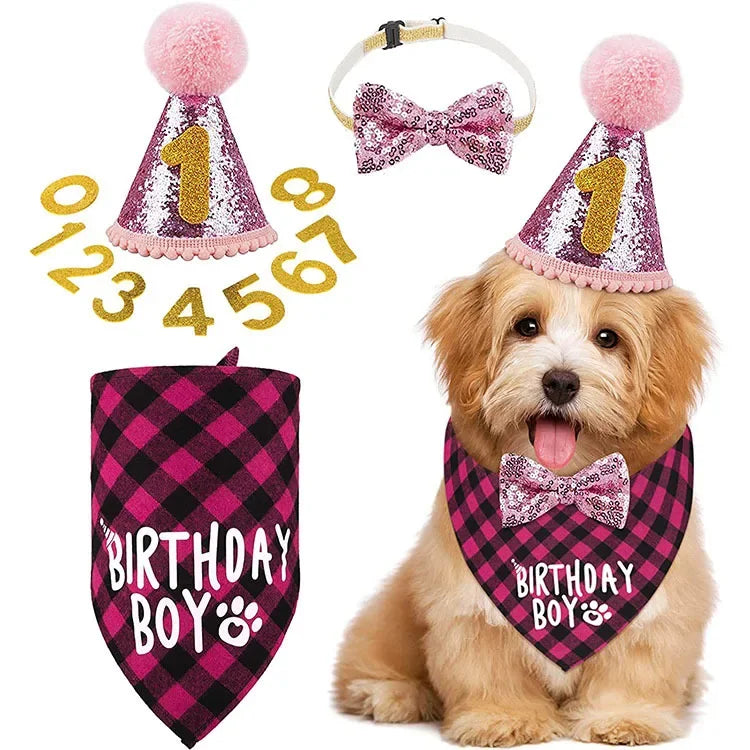 Pet Birthday Party Set