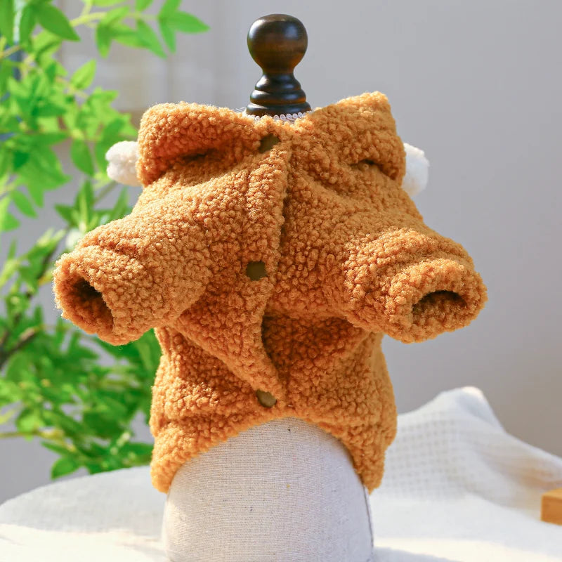 Teddy Bear Hoodie With Ears