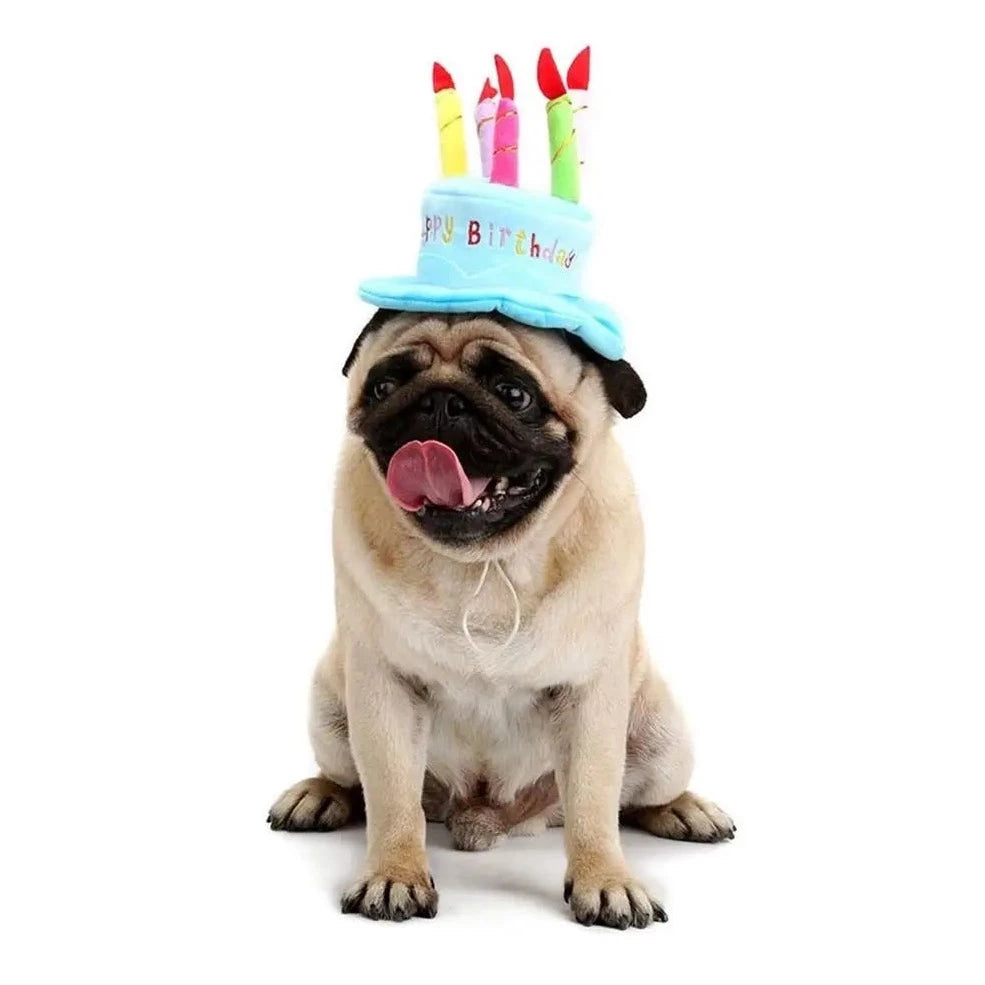 Birthday Cake with Candles Hat