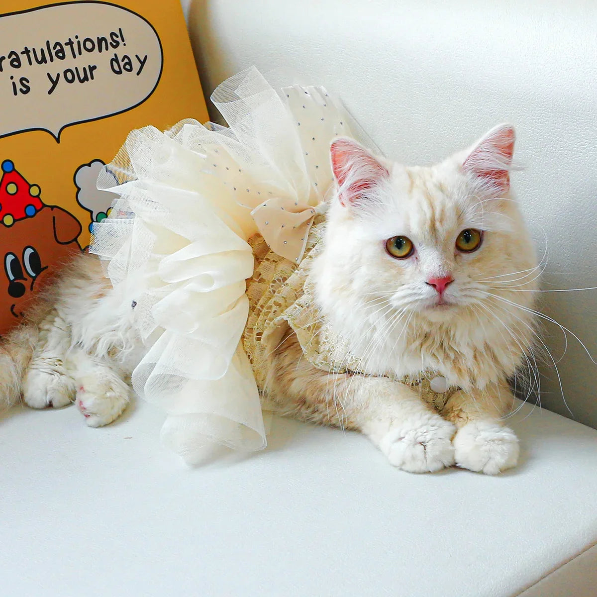 Princess Lace Wedding Dress – Elegant Pet Wedding Outfit for Dogs & Cats