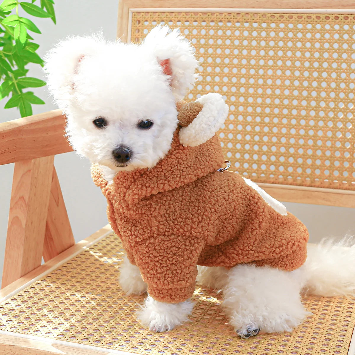 Teddy Bear Hoodie With Ears