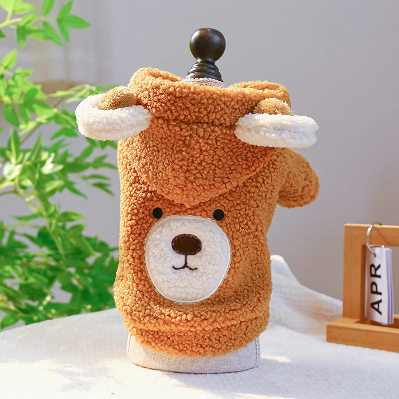 Teddy Bear Hoodie With Ears