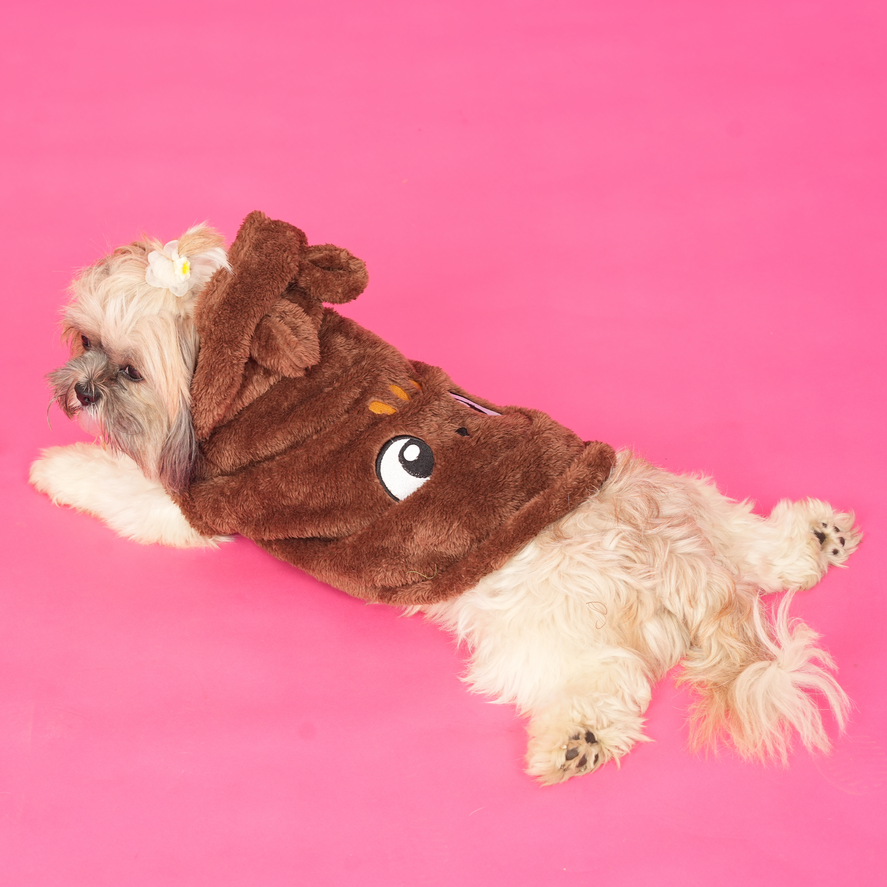 Brown Bear Hoodie