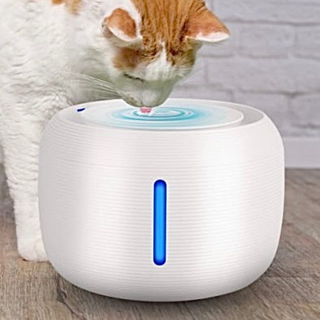 Smart Sensor Automatic Water Dispenser