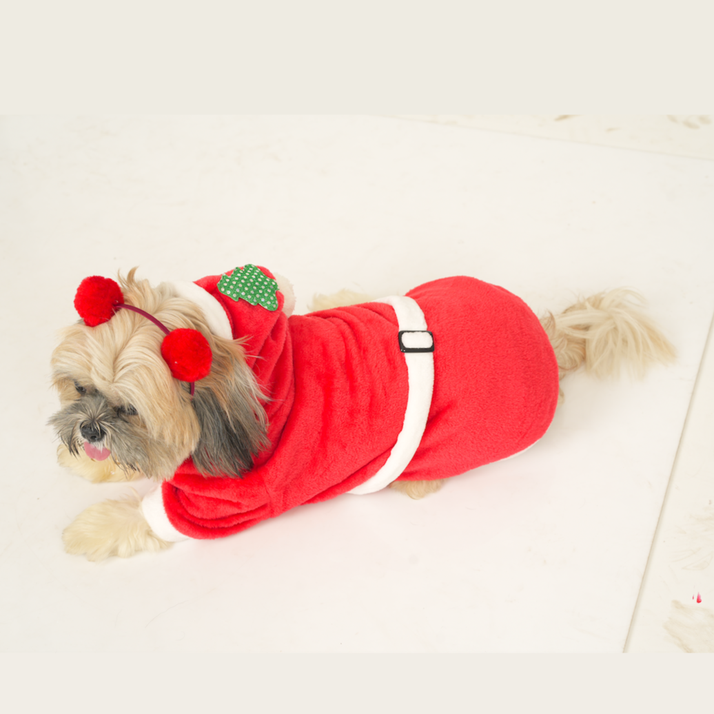 Santa Claus Fleece Hoodie