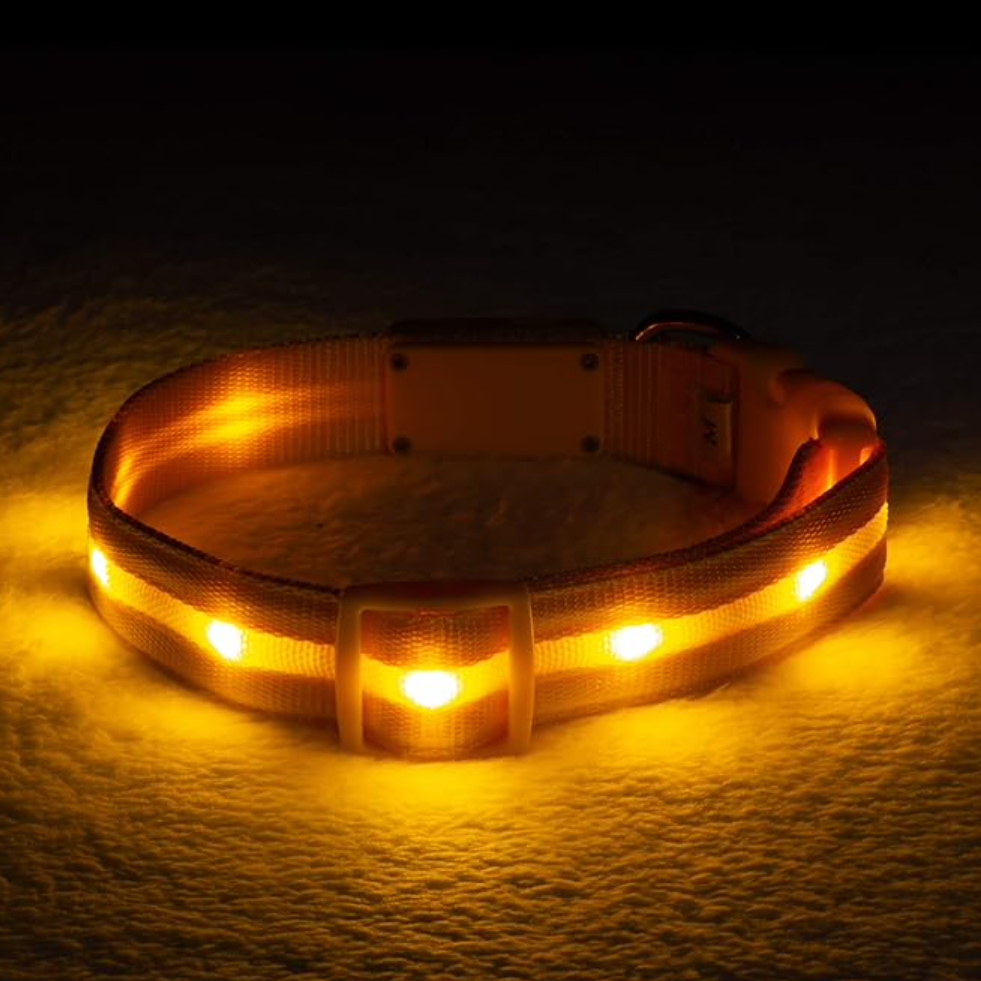 Nylon LED Safety Dog Collar