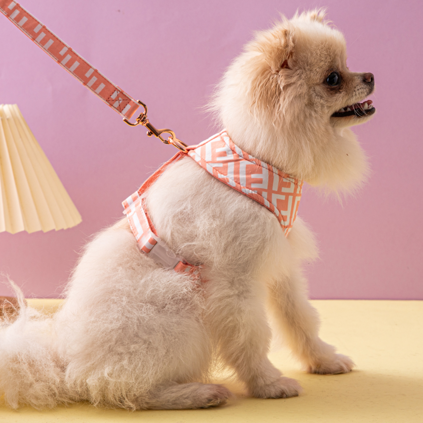 Printed Leash and Harness Set (Peach)