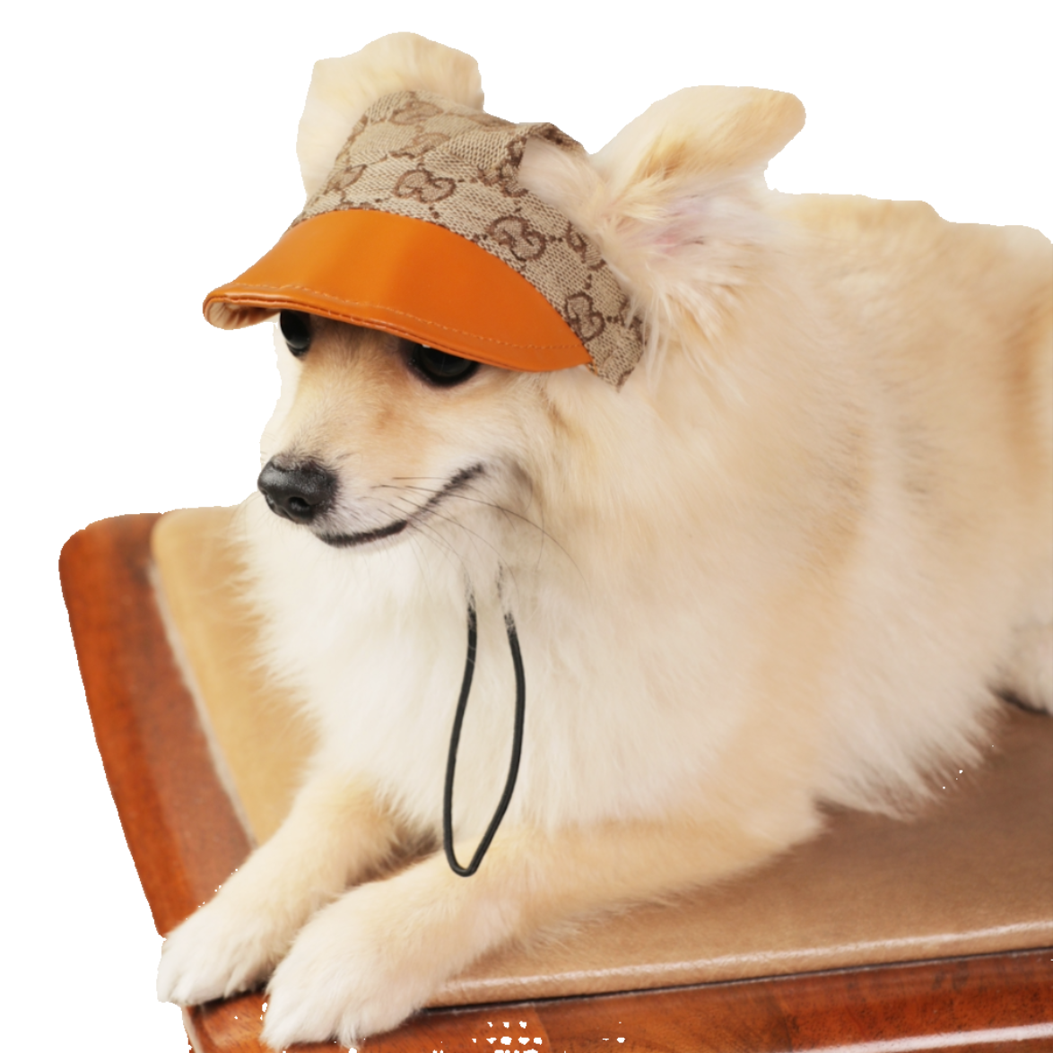 GG Print Premium Cap