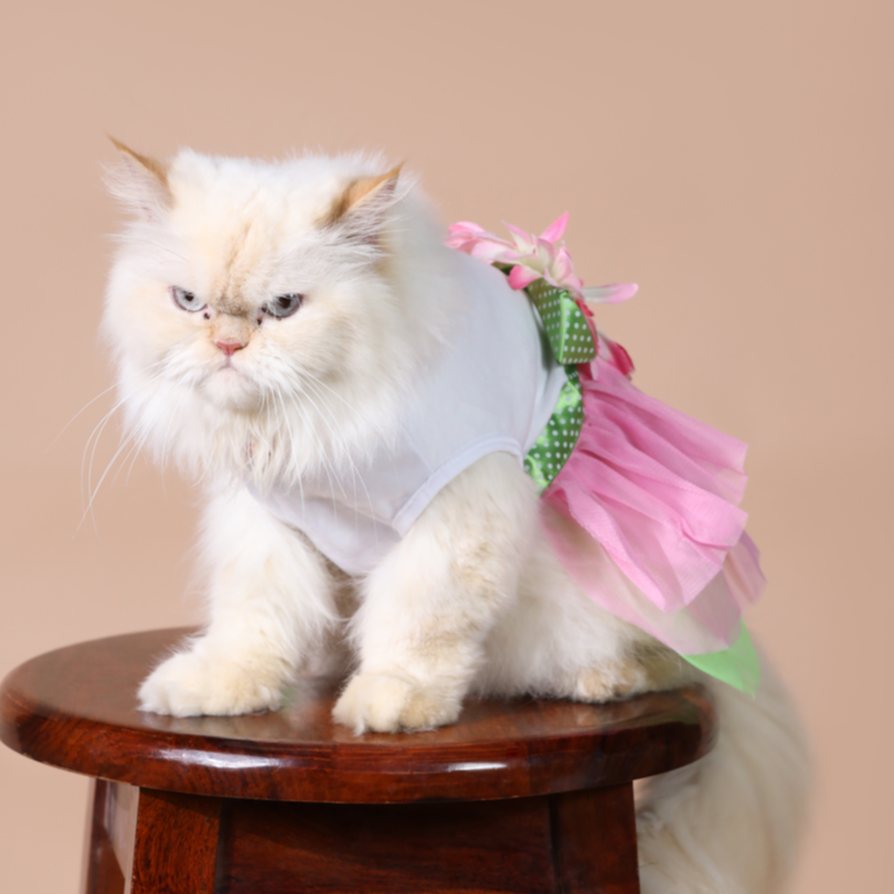 Flower Summer Frock Dress – Cute & Lightweight Dog Clothes for Warm Weather