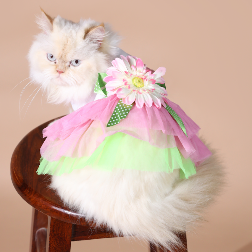 Flower Summer Frock Dress – Cute & Lightweight Dog Clothes for Warm Weather