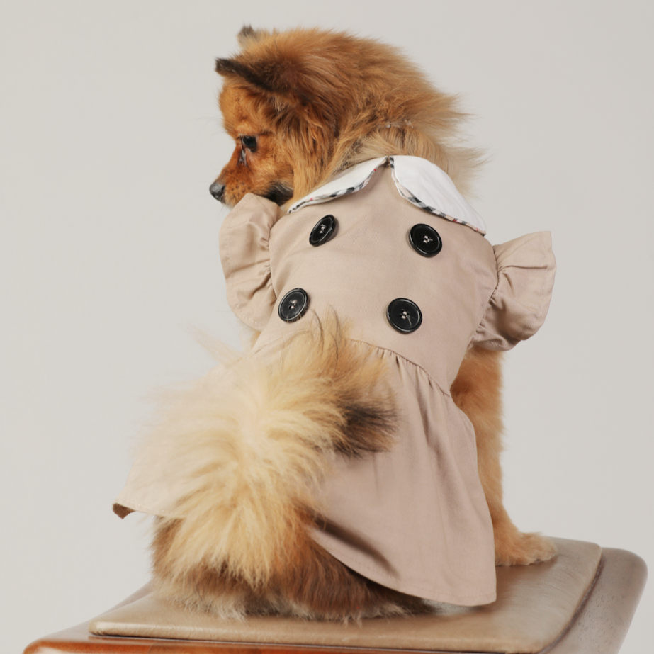 Brown Pet Dress with White Collar – Stylish & Comfortable Dog Clothes | Claws N Paws