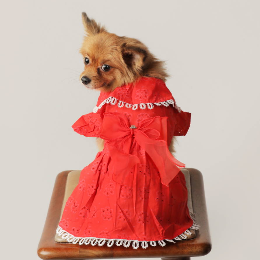 Red Cotton Lace Flower Cutout Dress – Fancy & Fashionable Dog Clothes | Claws N Paws