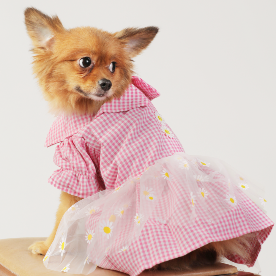 Pink Gingham Flower Dress – Cute & Stylish Pet Clothes for Dogs | Claws N Paws