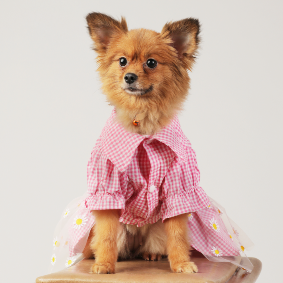 Pink Gingham Flower Dress – Cute & Stylish Pet Clothes for Dogs | Claws N Paws