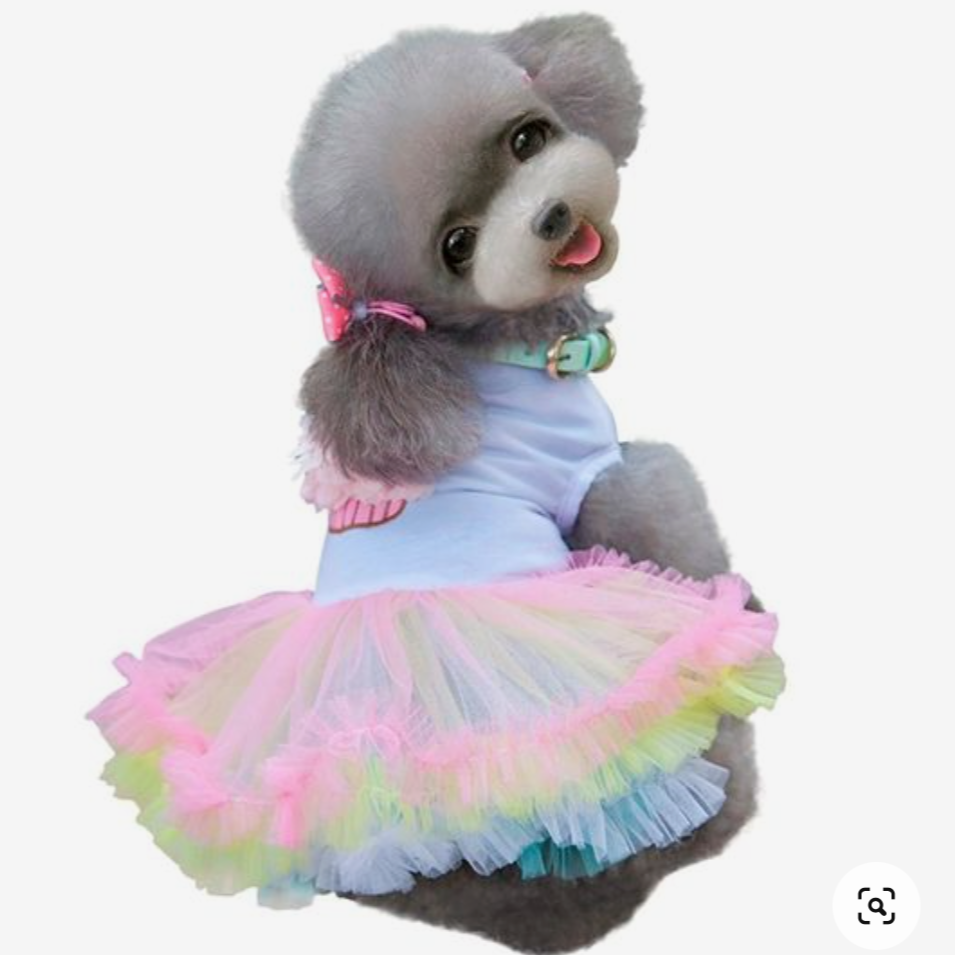 Birthday Cake Frill Dress | Dog Clothes| l | Sizes and Colours Available| Claws N Paws