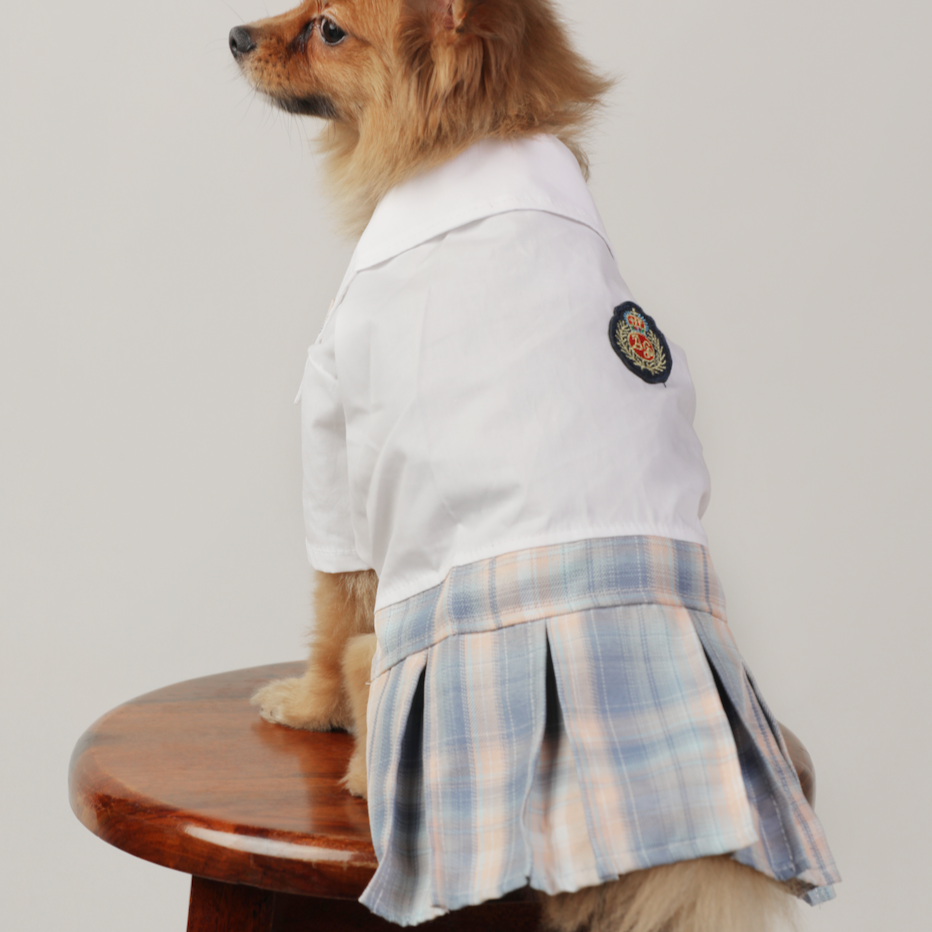 Dog Clothes| JK Style Plaid Dress | Sizes and Colours Available| Claws N Paws