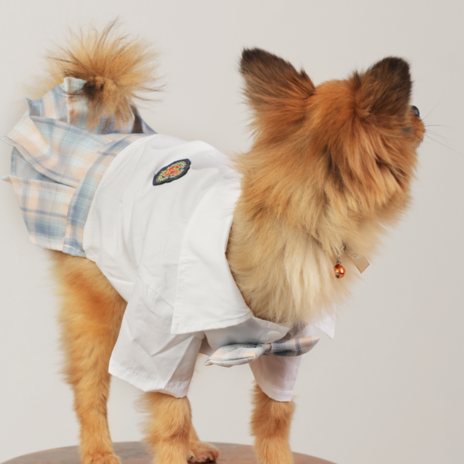 Dog Clothes| JK Style Plaid Dress | Sizes and Colours Available| Claws N Paws