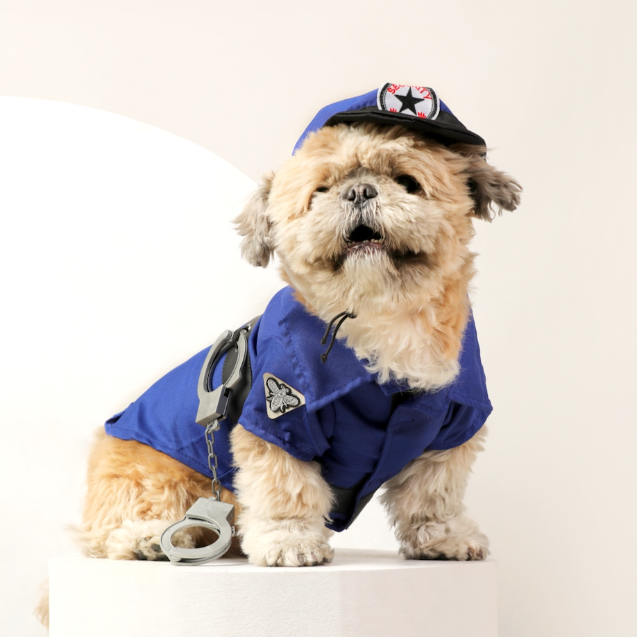 Dog Clothes| Pet Police Costume | Sizes and Colours Available| Claws N Paws